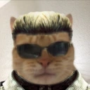 AlbertWhisker emote