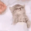 POGGERS emote