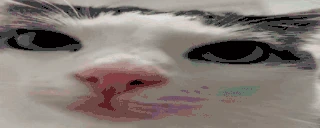 plonk emote