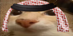 otagHabibi emote