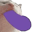 catSUCK emote