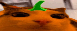 plink emote