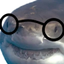 sharkWithGlasses emote