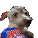 veryCreature emote