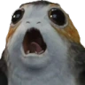 CE_SCREAMMMMMM5 emote