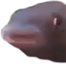 MMMM emote