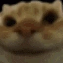 yes emote