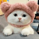 Licka emote