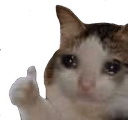 Mouton_demoniak emote