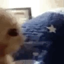 side_eye emote