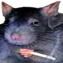 RatSmoke emoji