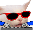HACKERCAT animated emote