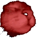 catJamHigh emoji
