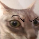 SUS emote