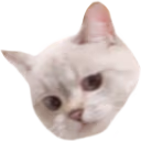 Nana_Sideeye emote