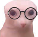 bingusnerd emote