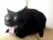 Valorant emote