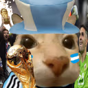 LaCaraArgentina emote
