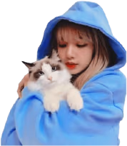Blackpink_Lisax emote