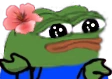 sweetshrug emote