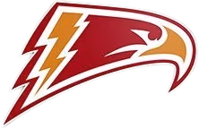 thunderbirds emote