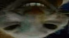 ppx emote