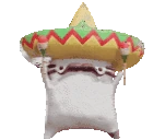 mexicat emote