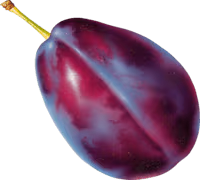 plum emote