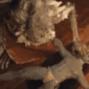 cbt emote