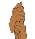 Jutsu emote
