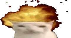 HOLYSHIT emote