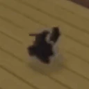 KittyHelicopter emote