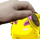 PETTHELILBRO emote