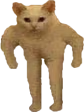 he emote
