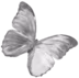 grey_butterfly emote