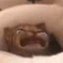 cat_cry emote