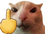 catFU emote