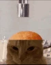icecreamcat emoji