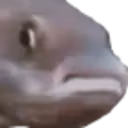 PauseFish emote