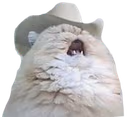 countrycat emote