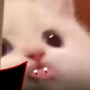 bla emote