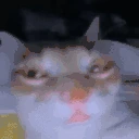 suh emote