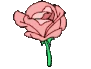 FlowerPink emote