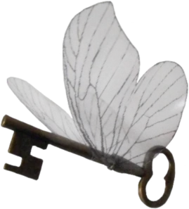 fairy_key emote