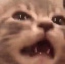 CE_Agony3 emote