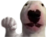 WalterBonk static emote