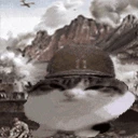 wawar emote