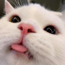 SillyPag static emote