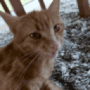 ouh animated emote