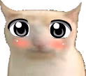 WeebCat emote